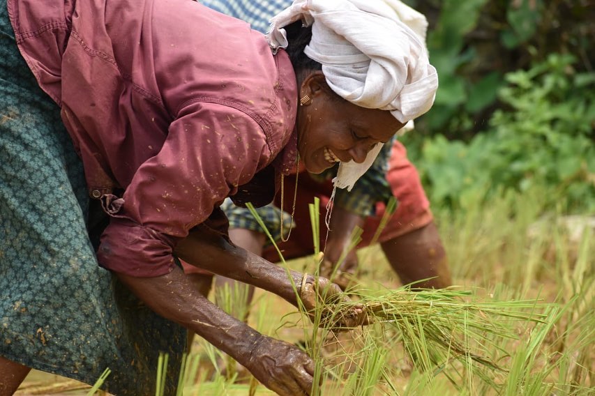 Kerala organic farming