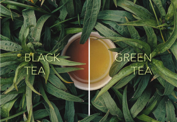 Green Tea vs. Black Tea: Unveiling the Health Benefits and When to Sip Each